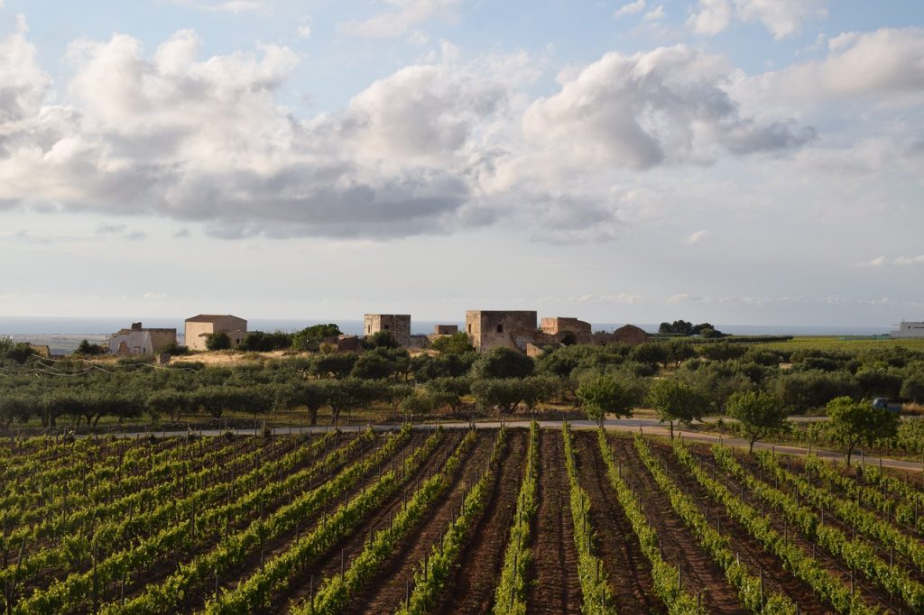 Marsala map roads art