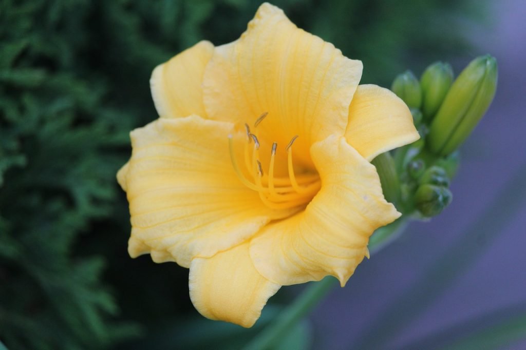 Saskatoon map roads art