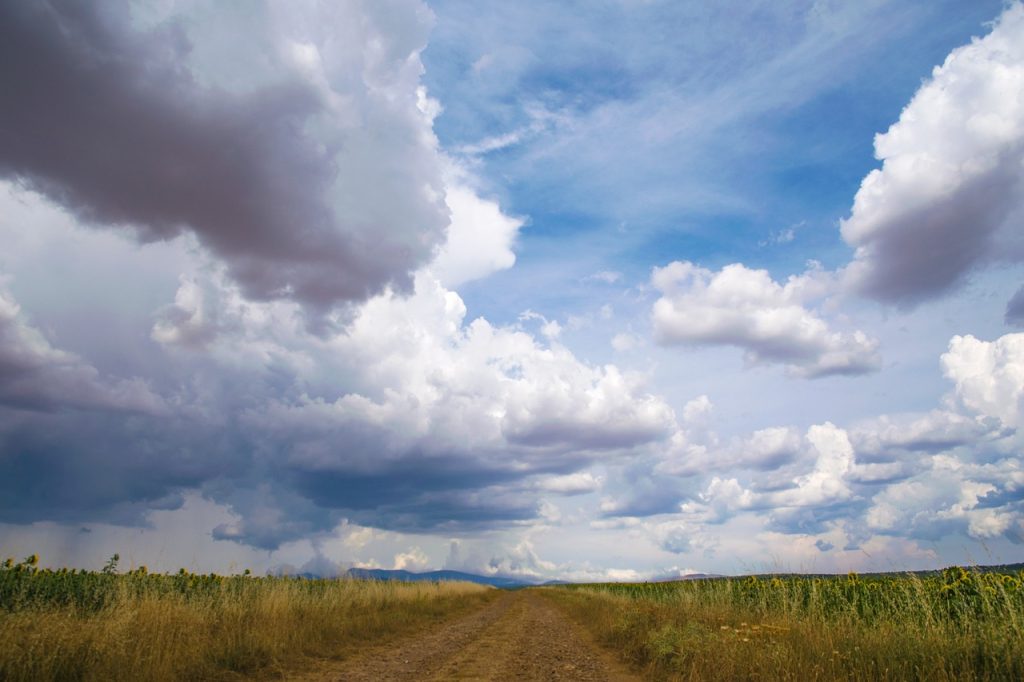 Palencia map roads art