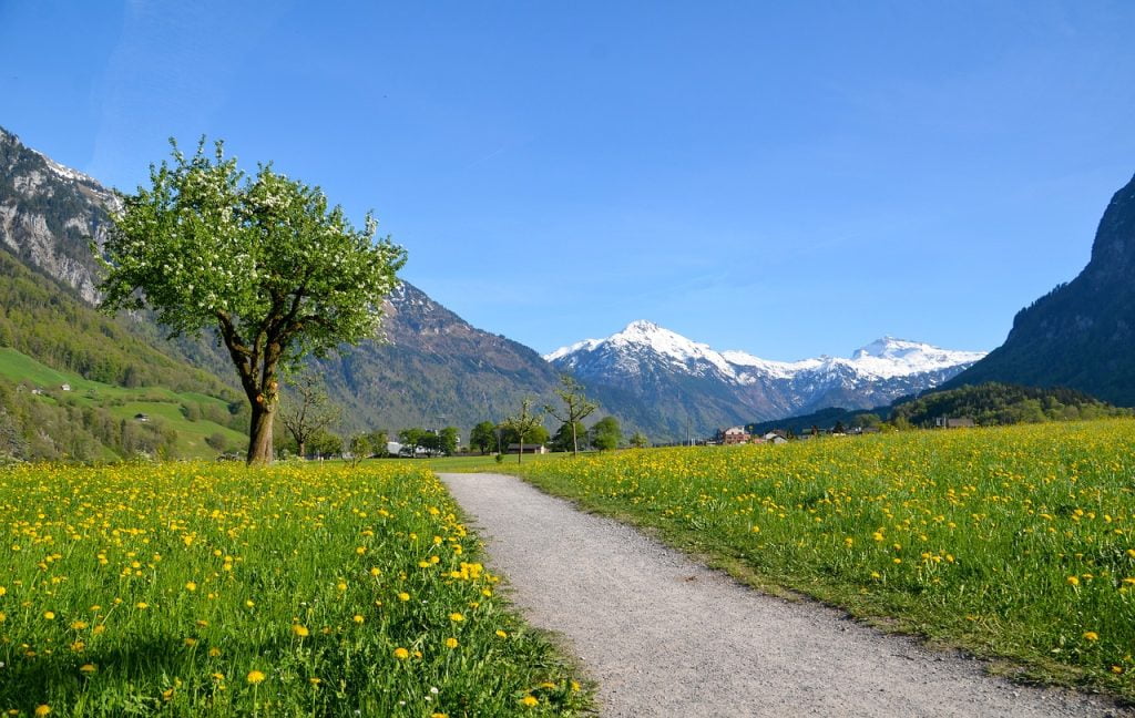 Glarus map roads art