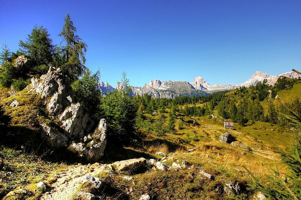 Belluno map roads art