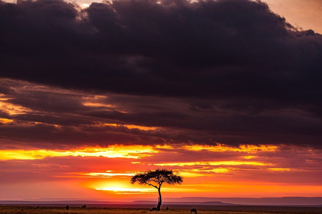 Nairobi map roads art