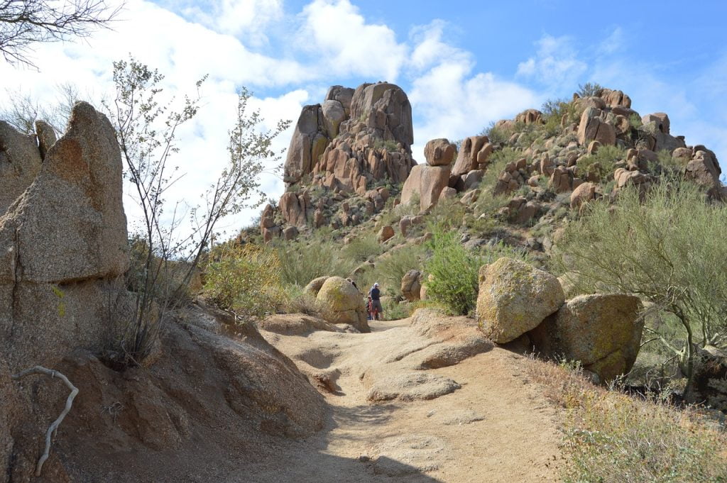 Scottsdale map roads art
