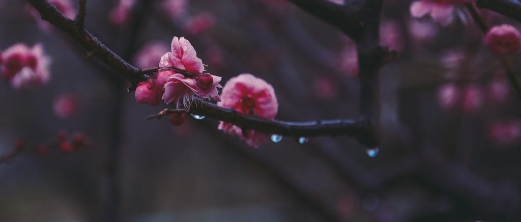 Suzhou map roads art